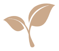 PAS Consulting logo of a sapling.